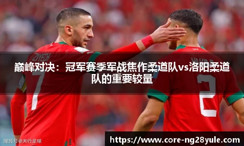 南宫28(NG28)平台